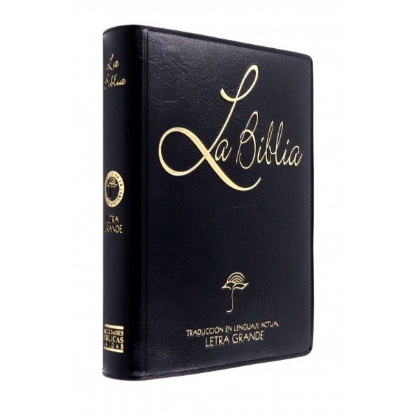 BIBLIA CHICA LG VINIL NEGRO TLA42LG