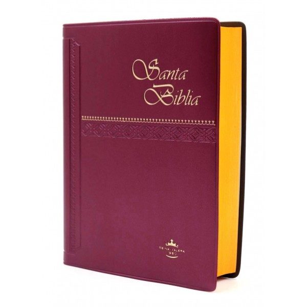 B. RVR60 CHICA VINIL CONCORDANCIA VINO RVR042C