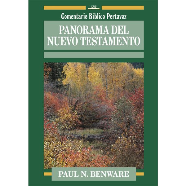 Panorama del Nuevo Testamento