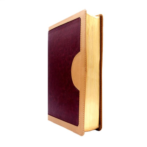 Biblia de estudio vida plena RVR60 - Rojo y beige - Image 2