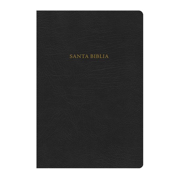 Biblia de estudio Scofield RVR60 - Negro