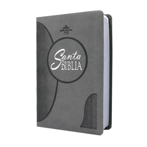 Biblia mediana mex letra grande RVR60 – Gris - Image 2