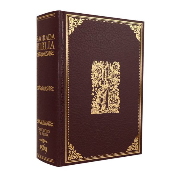 Biblia del Oso Casiodoro de Reina 1569