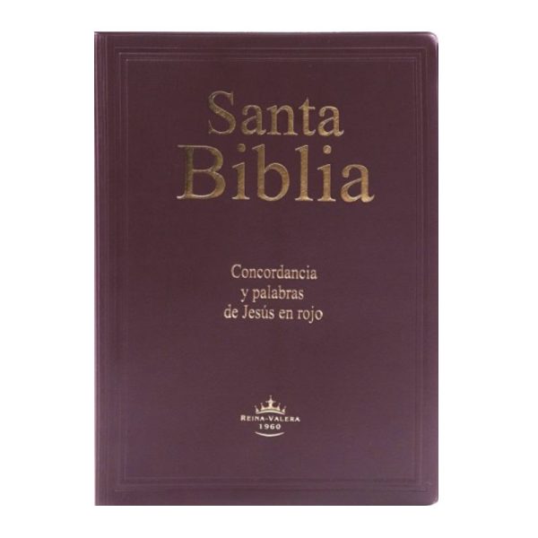 Biblia grande letra gigante RVR60 - Vino – Vinil