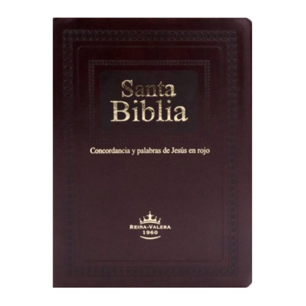 Biblia grande letra gigante relieve lujo RVR60 – Negra