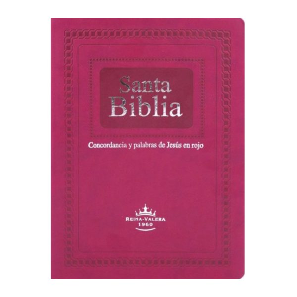 Biblia grande letra gigante RVR60 - Purpura
