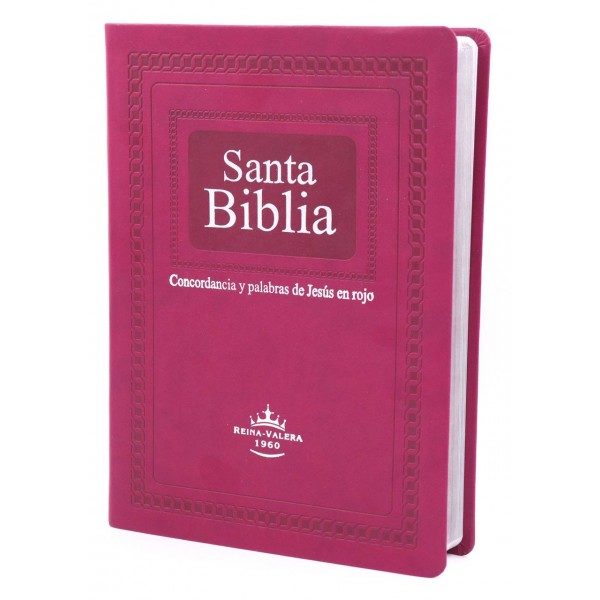 BIBLIA RVR1960 LETRA GIGANTE PURPURA