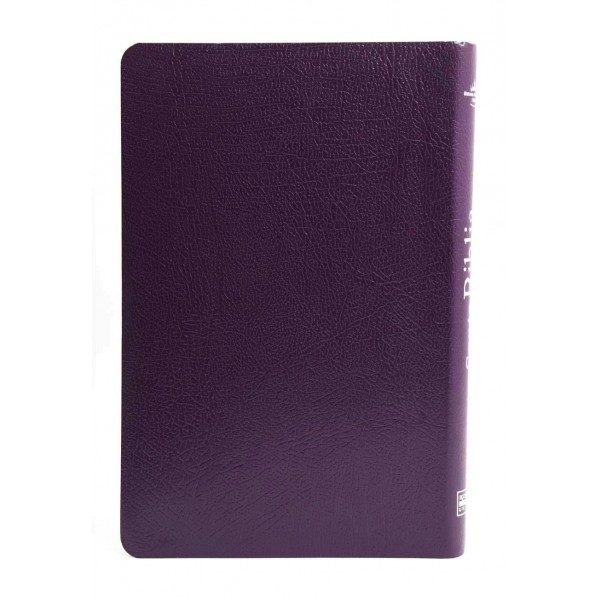 BIBLIA RVR065EC MED LILA