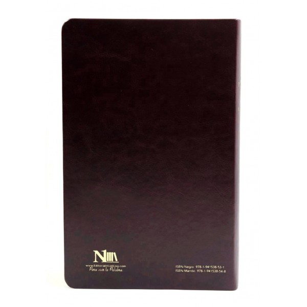 BIBLIA FORTALEZA RVR60 NEGRO