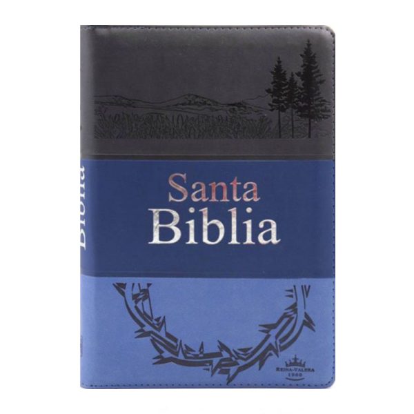 Biblia mediana triotone letra grande RVR60 – Gris y Azul marino – Cierre – Índice