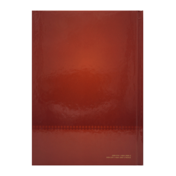 Biblia de Estudio Diario Vivir Letra Grande RVR60 - Tapa dura - Nueva edición - Image 4