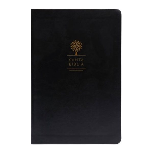 Biblia con imágenes de tierra santa RVR60 - Negro