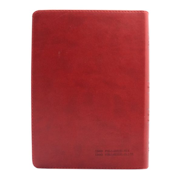Biblia letra grande RVR09 - Rojo y marrón - Índice - Image 4