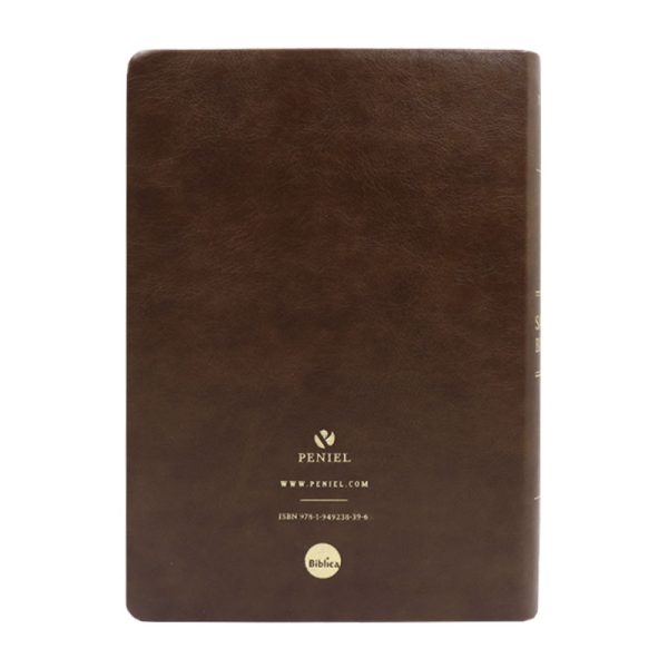 Biblia Letra Gigante NVI - Café - Image 4