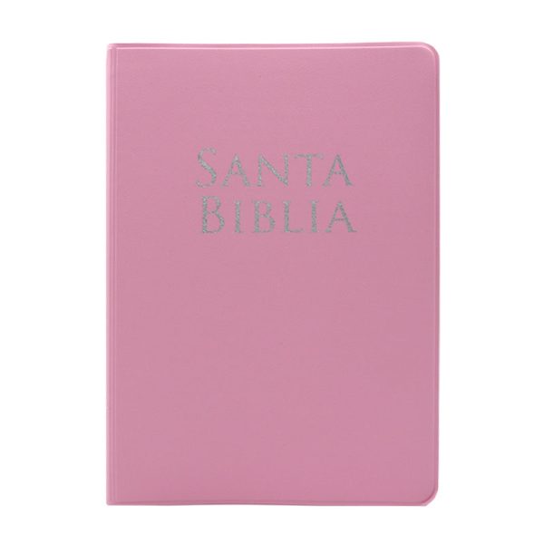 Biblia manual Holman Ariel RVR60 - Vinil -  Rosa