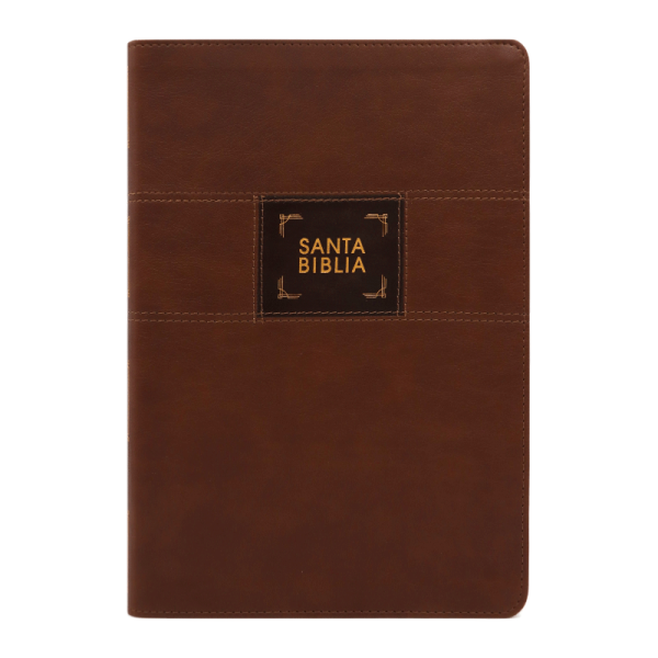 Biblia de estudio Gracia y Verdad NBLA – Café