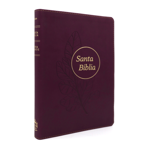 Biblia de referencia ultrafina letra grande RVR60 – Ciruela - Image 3