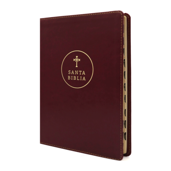 Biblia de referencia ultrafina letra grande RVR60 – Café rojizo – Índice - Image 2