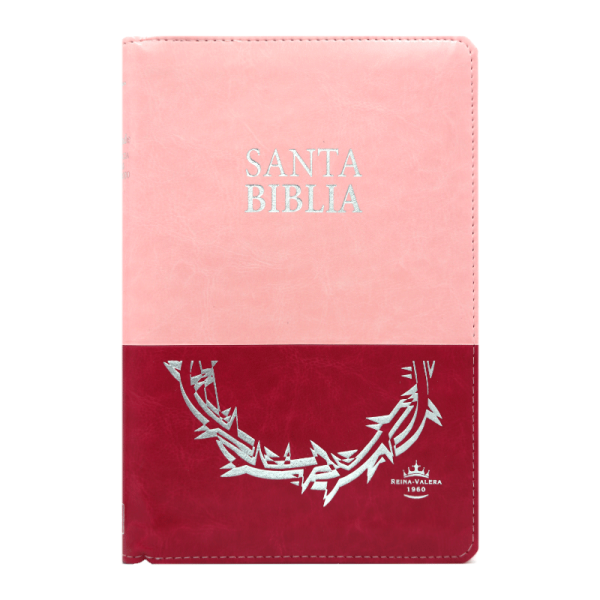 Biblia manual letra grande dúo tono RVR60 – Rosa – Cierre – Índice