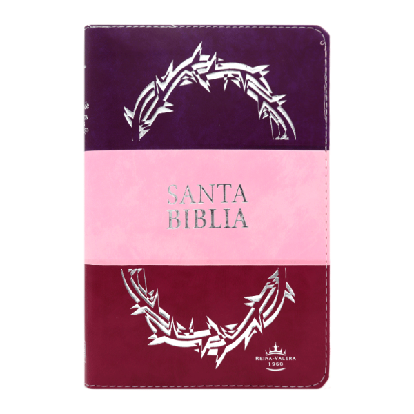 Biblia manual letra grande trió tono RVR60 – Morado y rosa – Cierre – Índice