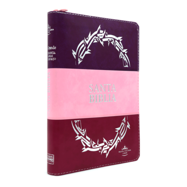 Biblia manual letra grande trió tono RVR60 – Morado y rosa – Cierre – Índice - Image 3