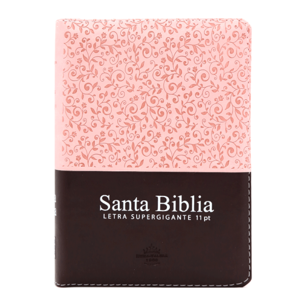 Biblia chica letra 11 puntos RVR60 – Rosa y marrón – Índice – Cierre