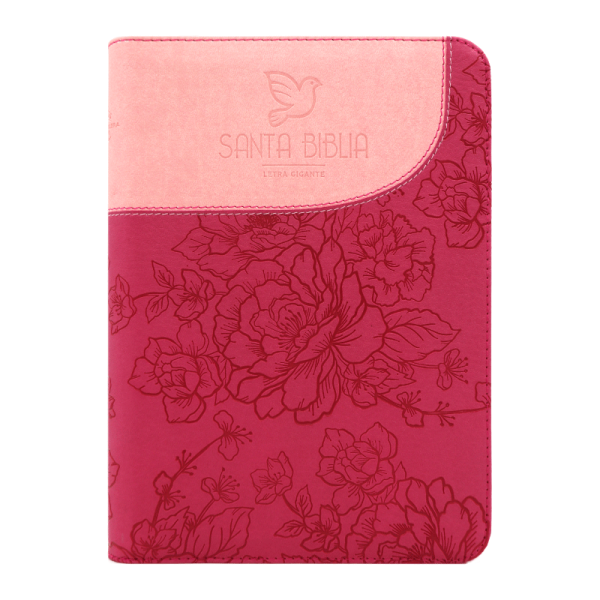 Biblia letra gigante paloma con QR RVR60 – Fucsia y rosa – Índice – Cierre