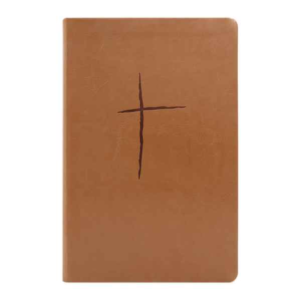 Biblia plenitud RVR60 - Terracota