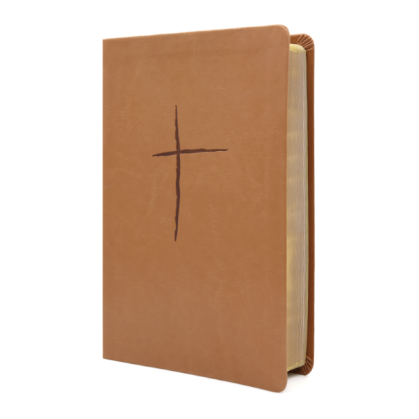 Biblia plenitud RVR60 - Terracota - Image 2