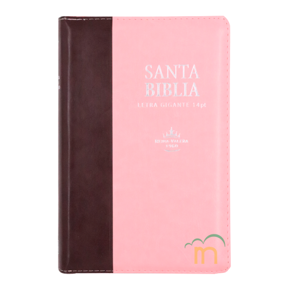 Biblia mediana letra gigante RVR60 - Marrón y rosa - Cierre - Índice
