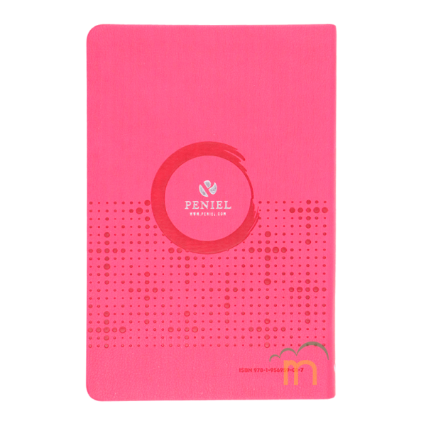 Biblia ultrafina NVI - Fucsia - Image 4