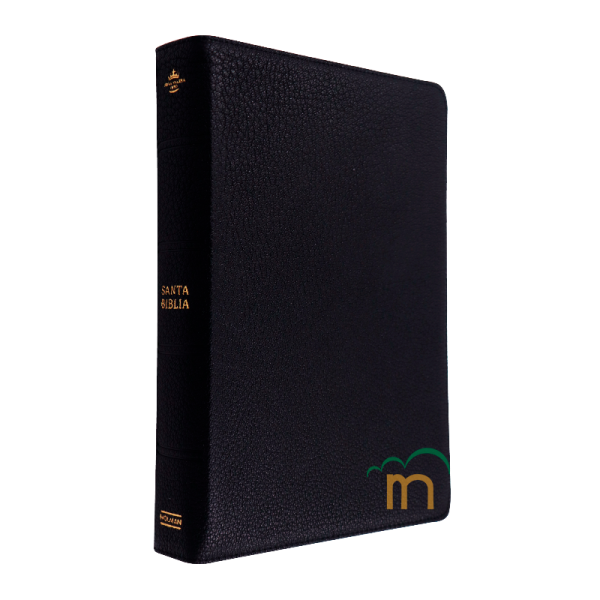 Biblia Deluxe RVR60 - Negro - Image 3