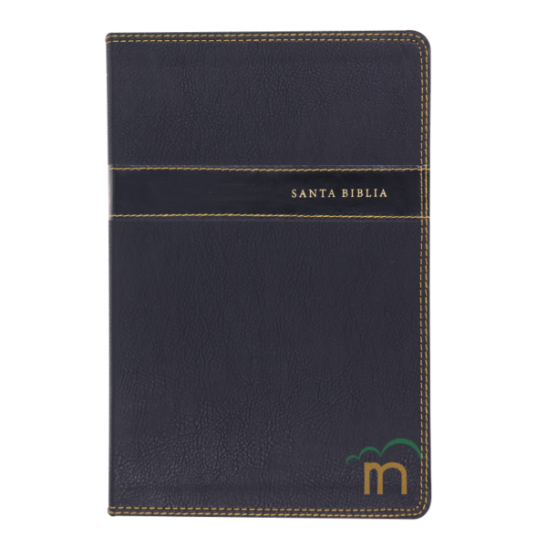 Biblia ultrafina letra gigante NVI - Negro