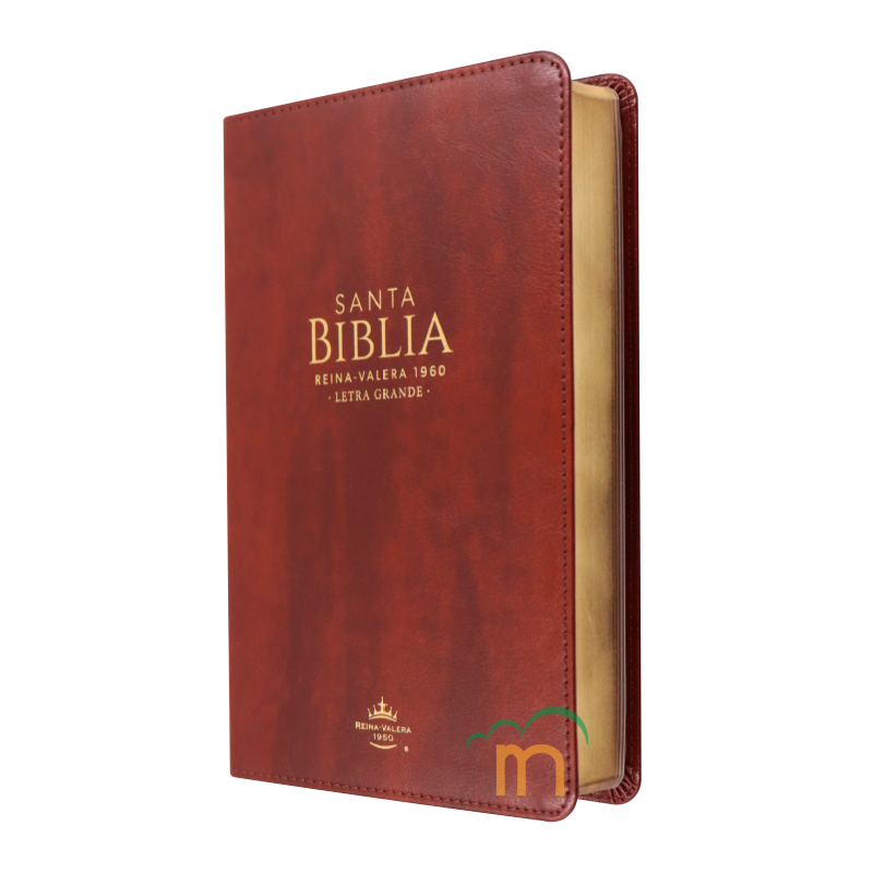 Biblia manual letra grande RVR60 - Café - Image 2