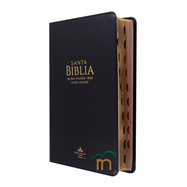 Biblia manual letra grande RVR60 - Negra - Índice - Image 2
