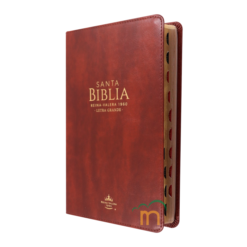 Biblia manual letra grande RVR60 - Café - Índice - Image 2