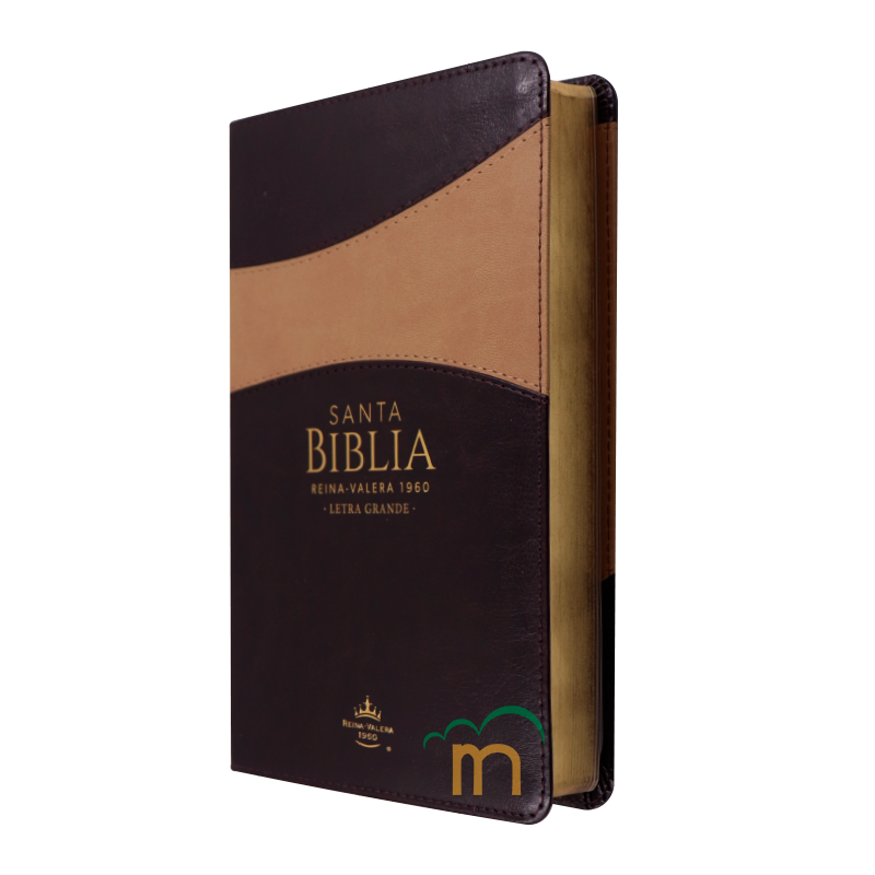 Biblia manual letra grande RVR60 - Café y beige - Image 2