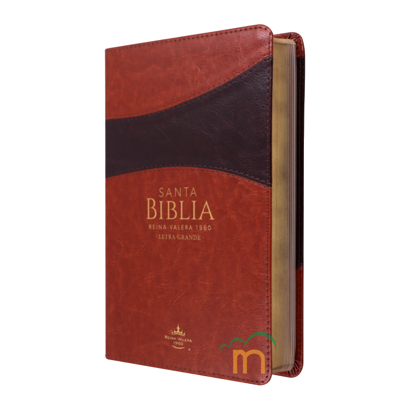 Biblia manual letra grande RVR60 - Marrón y marrón - Image 2
