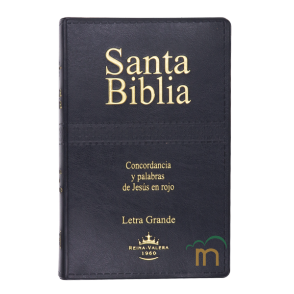 Biblia mediana RVR60 - Negro