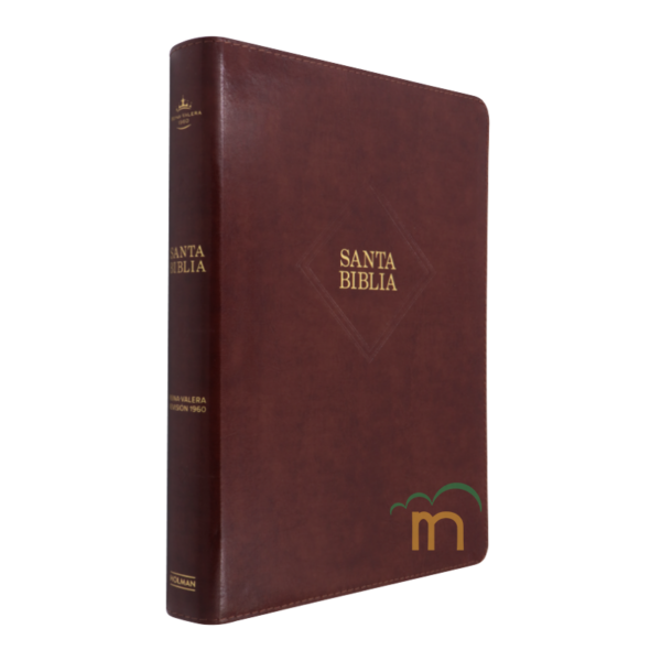 Biblia letra supergigante RVR60 - Café - Image 3