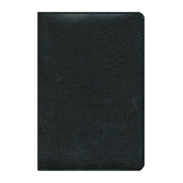 Biblia plenitud RVR60 - Negra - Image 2