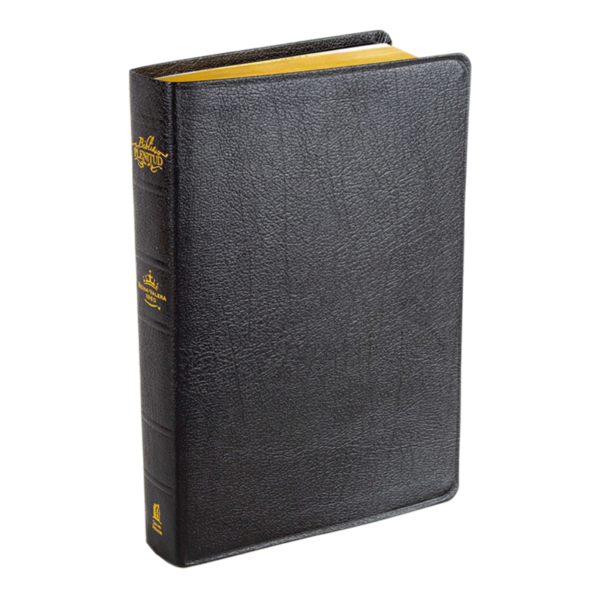 Biblia plenitud RVR60 - Negra - Image 3