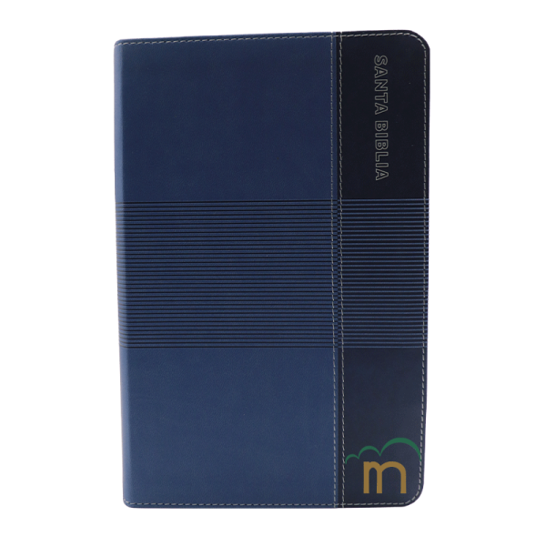 Biblia de estudio para jóvenes RVR60 - Azul