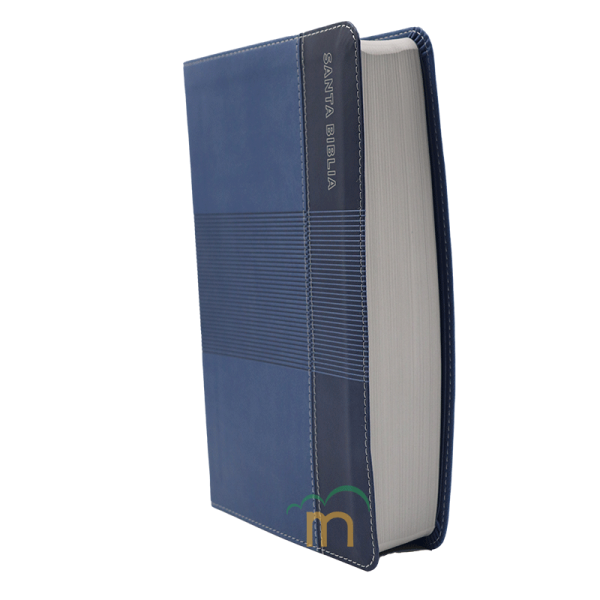 Biblia de estudio para jóvenes RVR60 - Azul - Image 2
