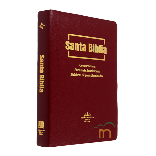 Biblia mediana RVR60 - Vino - Image 3