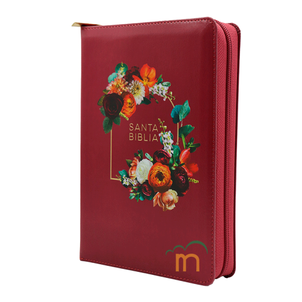 Biblia manual letra gigante RVR60 - Granada - Cierre - Índice