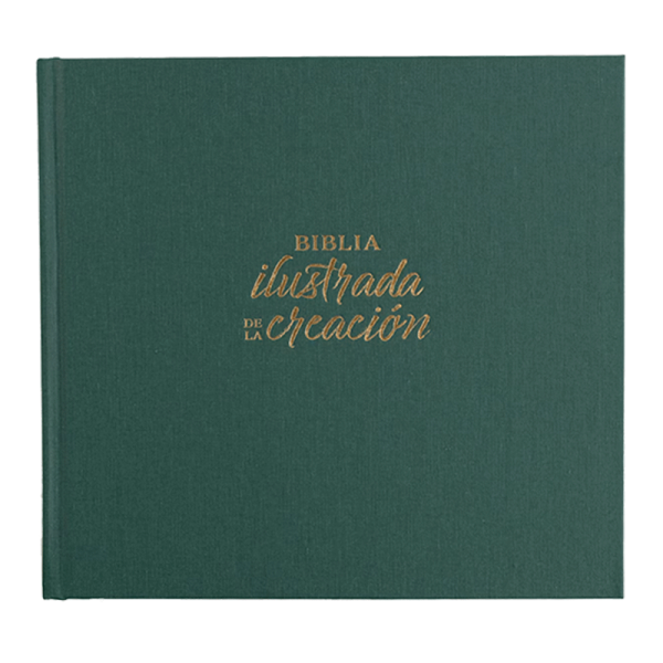 Biblia ilustrada de la creación RVR60 - Turquesa - Tapa dura con tela