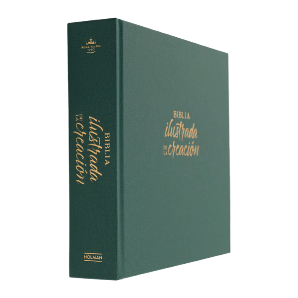 Biblia ilustrada de la creación RVR60 - Turquesa - Tapa dura con tela - Image 2