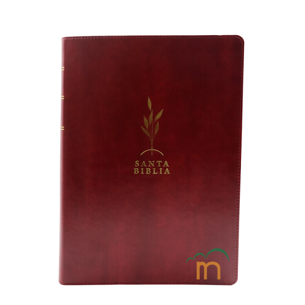 Biblia de Estudio Diario Vivir Letra grande RVR60 - Vino tinto
