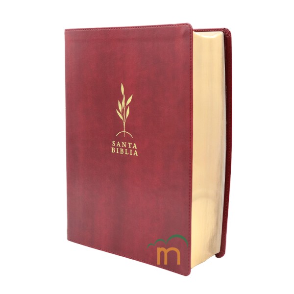 Biblia de Estudio Diario Vivir Letra grande RVR60 - Vino tinto - Image 2